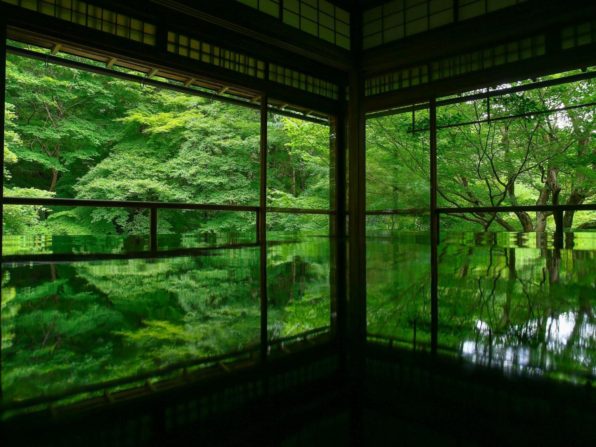 The Blossom Kyoto Bagian luar foto