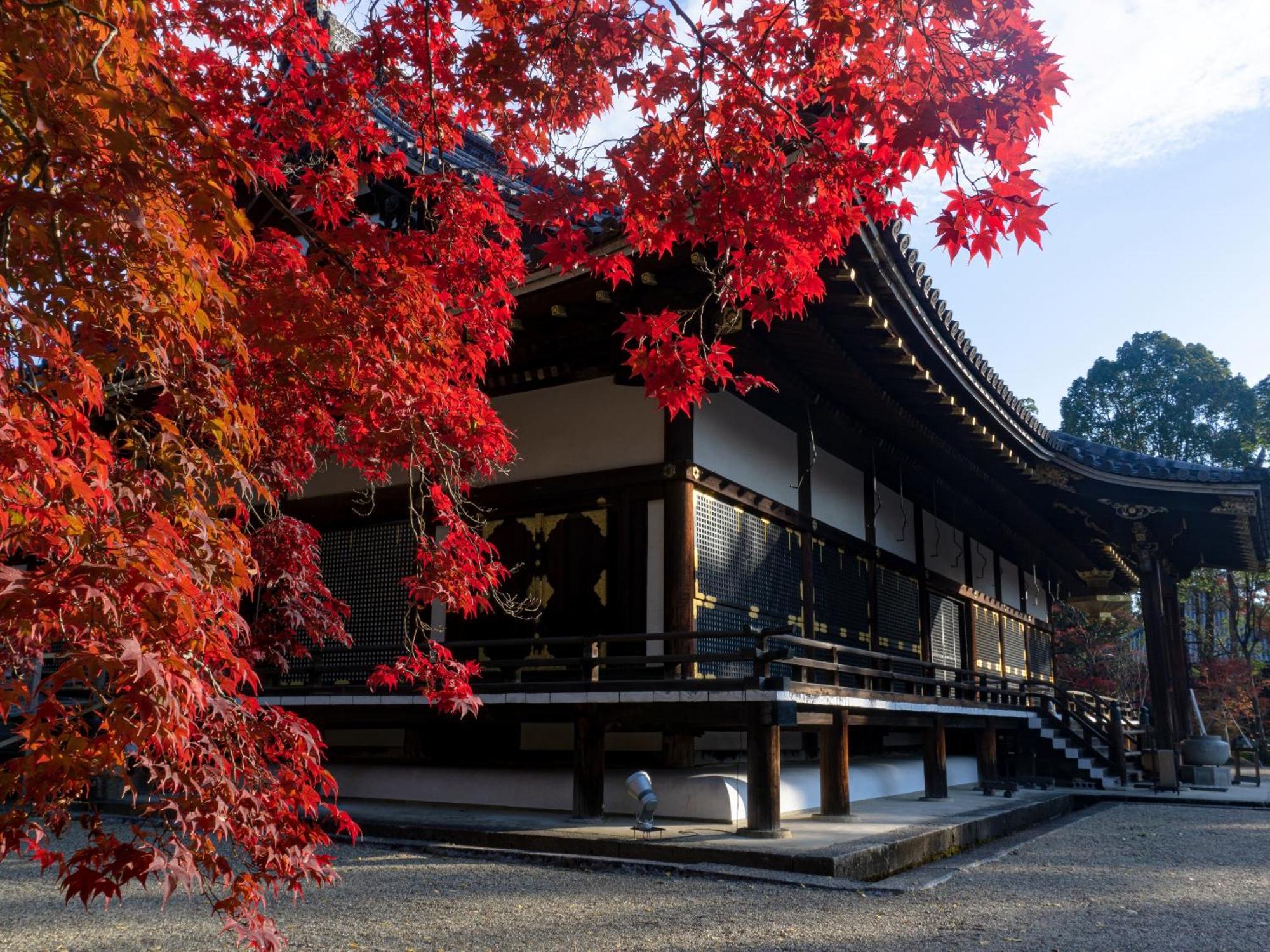 The Blossom Kyoto Bagian luar foto